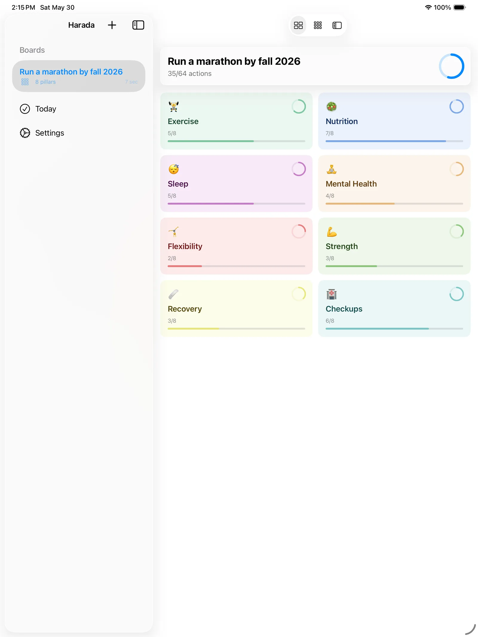 The dashboard showing progress rings for each of the eight pillars